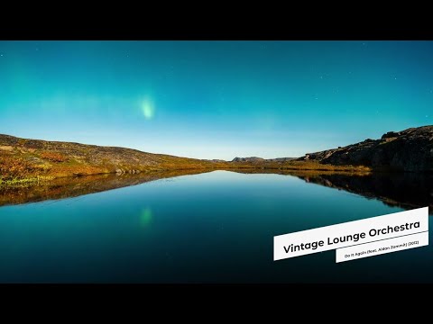 Vintage Lounge Orchestra - Do It Again (feat. Aidan Zammit) (2012)