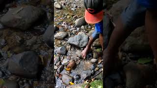 Hiking up to waterfall with stranger and his machete. #stlucia #hiking #waterfall #crab