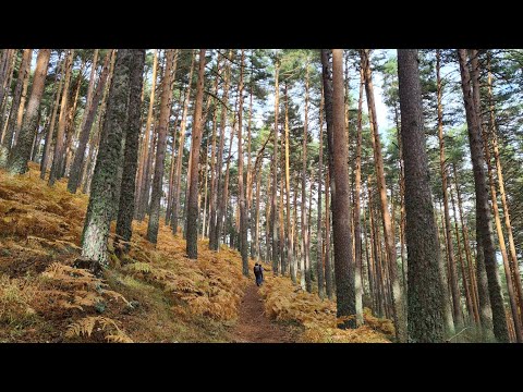 Cascada "El Chorro" -- Navafría (02/11/2025)