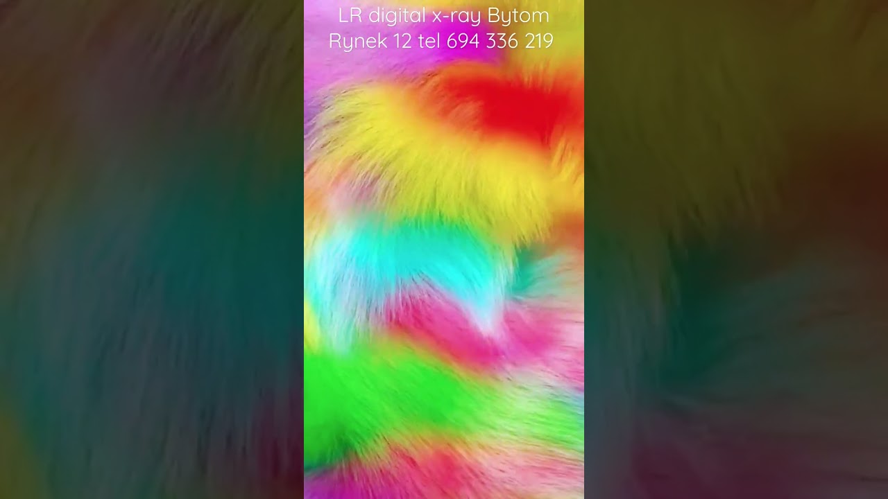 Barbara Boczarowska-Jarek-54