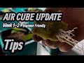 Grow Ace Air Cube 6 Site System Beginner Friendly Hydroponic Tips