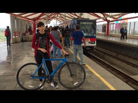 ALEJANDRA || Women on Bicycles. Resistance against the Cannibal City - (COMPLETE)