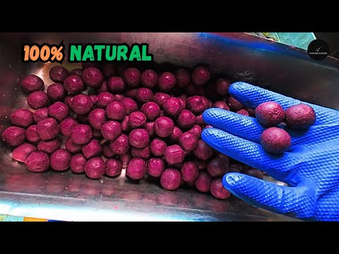 The Easiest Way to Make Your Own Boilies (Step by Step Tutorial)