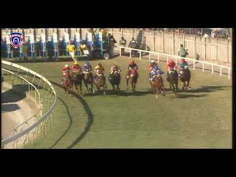 The Courts Mammouth Maiden Cup 2019 | WHITE RIVER | M.NUNES | RG STABLE