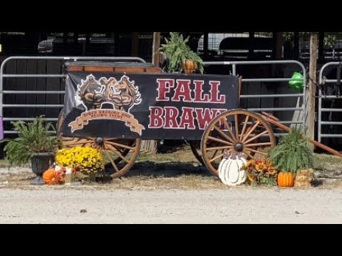 2023 Fall Brawl Single Footing Championship  | Boyce Stables 6th Annual Horse Show | Travel Vlog