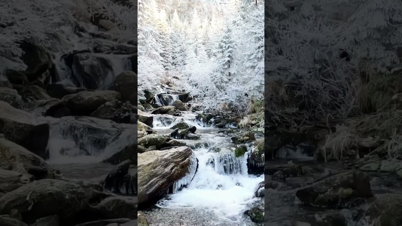River Flowing Through a Snowy Forest | Harp & Piano Music  #relaxingmusic #harpmusic #pianomusic