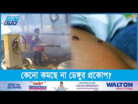 আগের বছরের চেয়ে এবার ডেঙ্গু পরিস্থিতি আরও ভয়াবহ হতে পারে