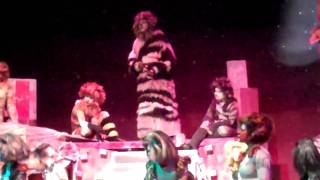 The Moments Of Happiness/Memory - Arundel High School production of Cats