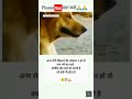 अगर रोटी देने की औकात ना हो तो मारा भी म