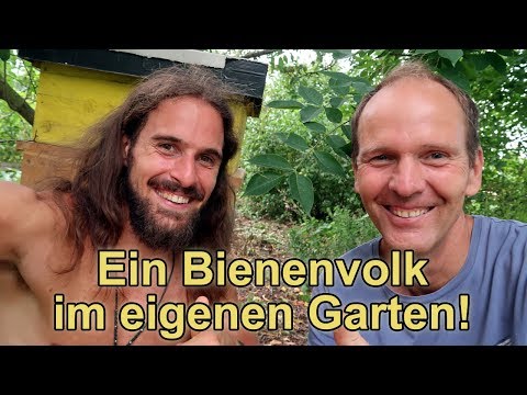Kazan Prostata-Massage auf dem Haus Alpha-Blockern für Prostata-