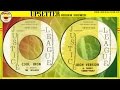 COOL IRON + IRON VERSION ⬥The Willows & The Upsetters⬥