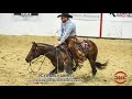 PG HEAVILY ARMED and JAMES PAYNE 2018 NCHA Open World Finals Show Champion