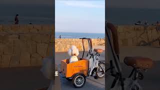 ngày 1 tháng 10, 2024