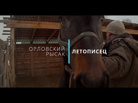 Жеребец Летописец