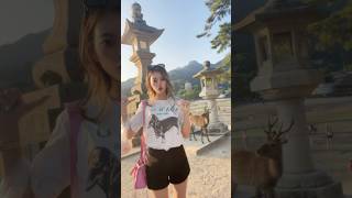 鹿と遊んだ日??#shorts #ももちゃんねる