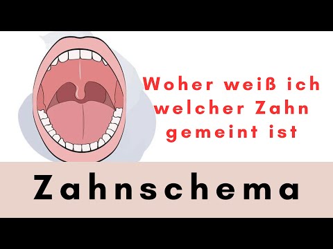 Zahnschema / ZFA-werden
