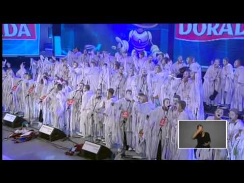 Final Murgas adultas S/C Tenerife 2014 - 1/4