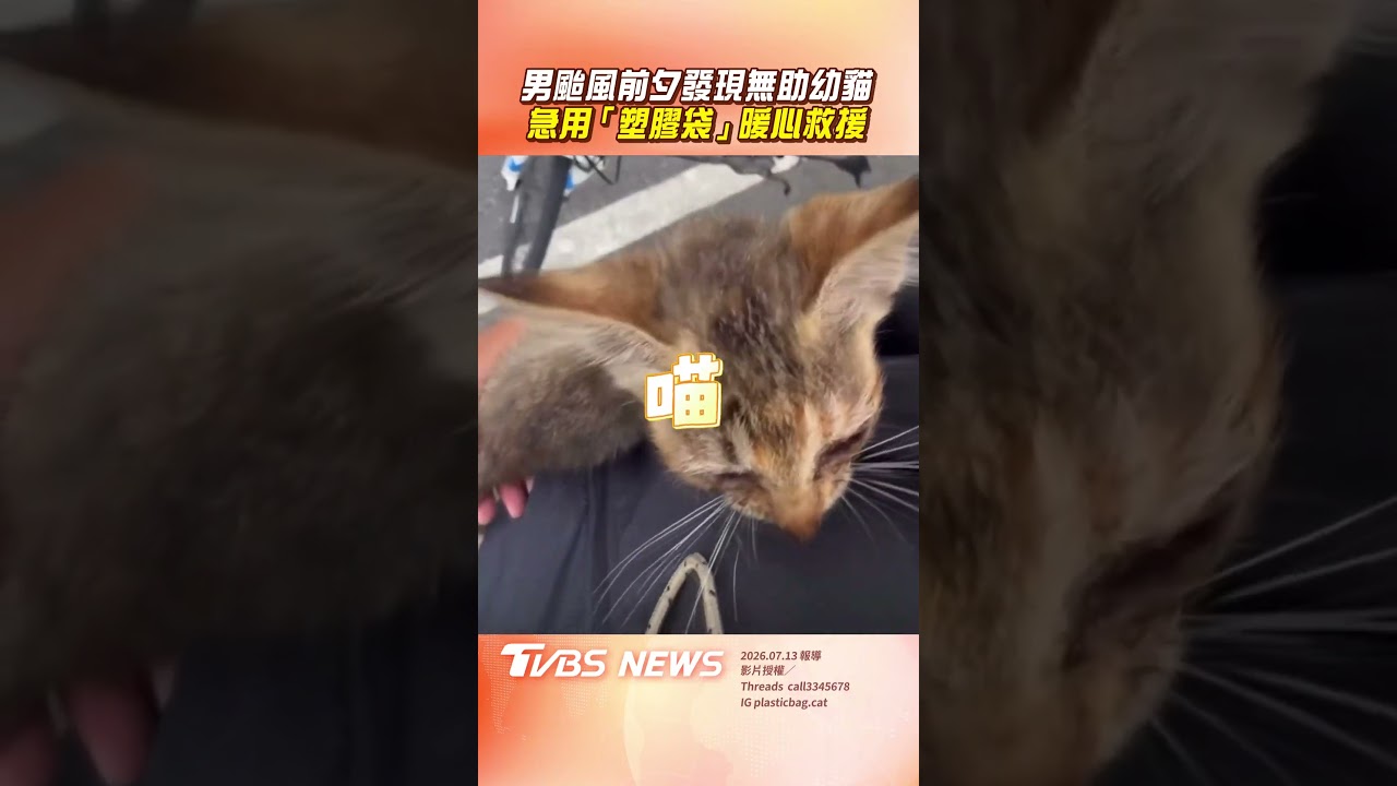 影音/男颱風前夕路中發現無助幼貓 急用「塑膠袋」裝貓暖心救援