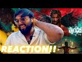 Paradise Glimpse RAW AF REACTION