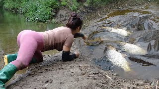 Lucky Day - I Found Lots of Fish in the Lake the Water Dried Up After Draining | Nana Fishing