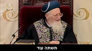 משלוח מנות מהפריץ - מרן הרב מרדכי אליהו זצוק"ל (הרב מרדכי אליהו זצ"ל) - התמונה מוצגת ישירות מתוך אתר האינטרנט יוטיוב. זכויות היוצרים בתמונה שייכות ליוצרה. קישור קרדיט למקור התוכן נמצא בתוך דף הסרטון