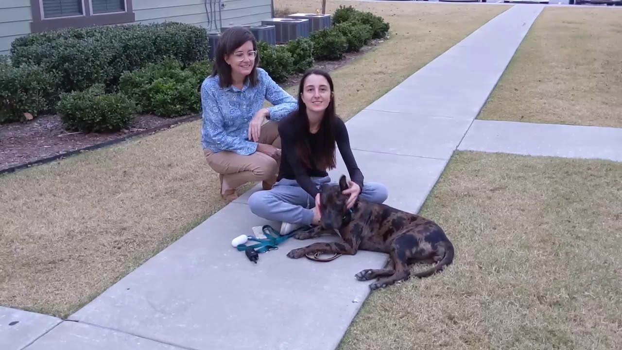 Tip Top K9 Reviews | Tulsa Obedience Training | Tip Top K9 | Elizabeth