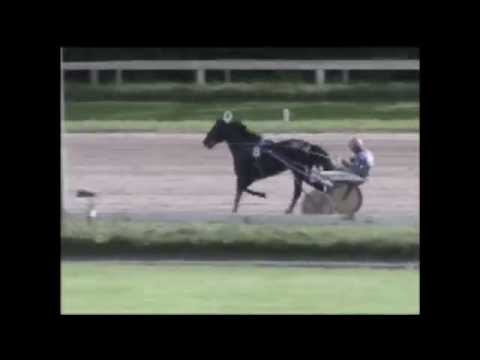 2011 Kampioenschap van Nederland - Venividivici Joe (Hugo Langeweg Jr.)