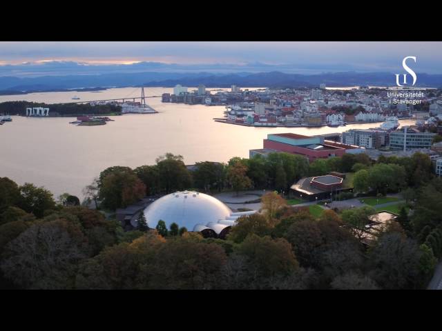 University of Stavanger video #1