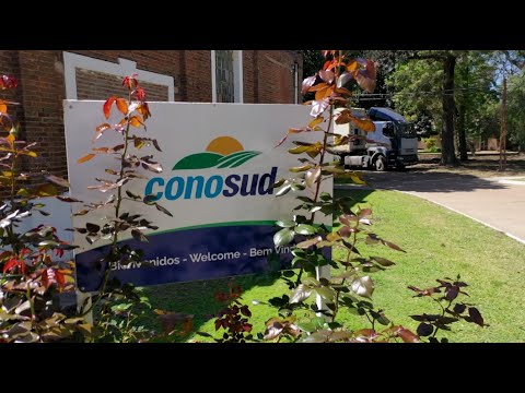 Martín Bustamante Recomienda | Conosud: calidad y tecnología en alimentos congelados desde Santa Fe.