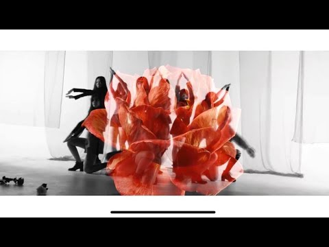 IZ*ONE (아이즈원) - 라비앙로즈 (La Vie en Rose) M/V cover by 1st ONE From Thailand