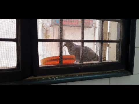 Meet my new friend 😊