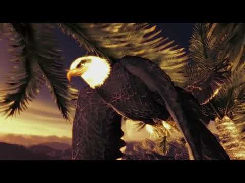 Iclone Animation 🤗Eagles in the Palms🤗 Tutorial 20 minute creation. Plugins. Popcornfx Effects 1080p