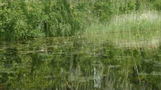 Sua lemmin kuin järjetön mä oisin ("I Love You For Sentimental Reasons", cover) - Maggie