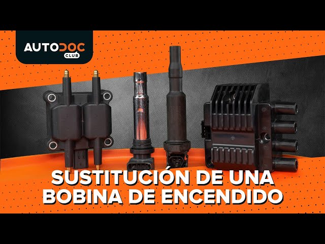 Vea una guía de video sobre cómo reemplazar SEAT 600 D Unidad de bobina de encendido