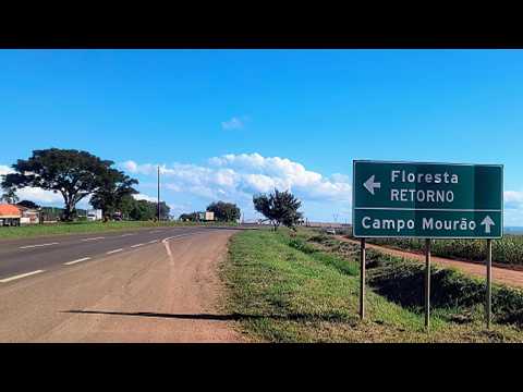 Floresta Paraná Atualizada video4K
