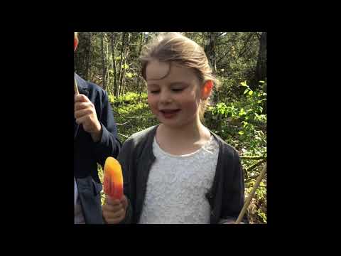 Store Bergan skole 17 mai