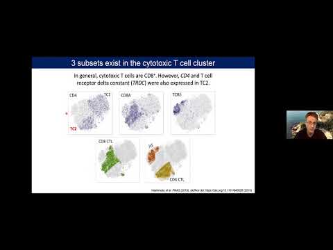 HCA Meeting Asia 2020: Co-current 2-4b - Ageing-related changes of circulating immune-cells