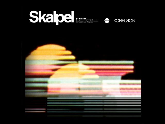 Conoce a Skalpel: El grupo de música electrónica polaco que debes escuchar