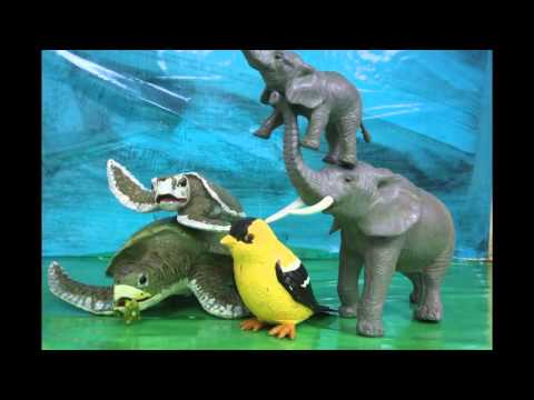 AAN April Animation Camp: Completed Class Project