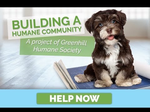 Save the Lives of Homeless Animals in Oregon