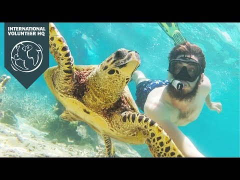 Volunteer in Madagascar