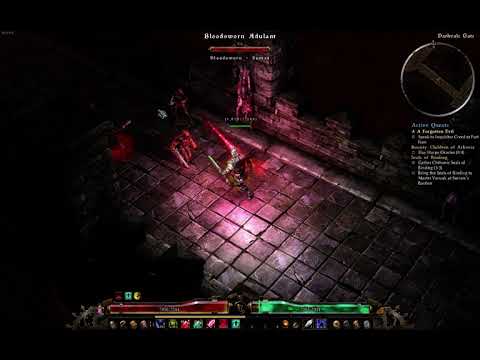 Grim Dawn -Venomancer Witchblade Showcase