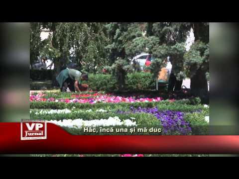 Hac, încă una și mă duc