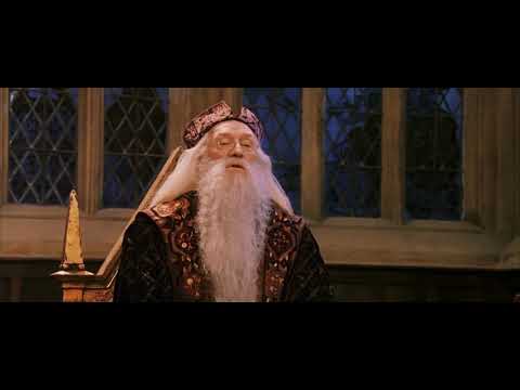 The House Cup - Harry Potter and the Philosopher's Stone