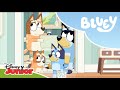 Bingo Are O Problemă Blue Disney Junior România