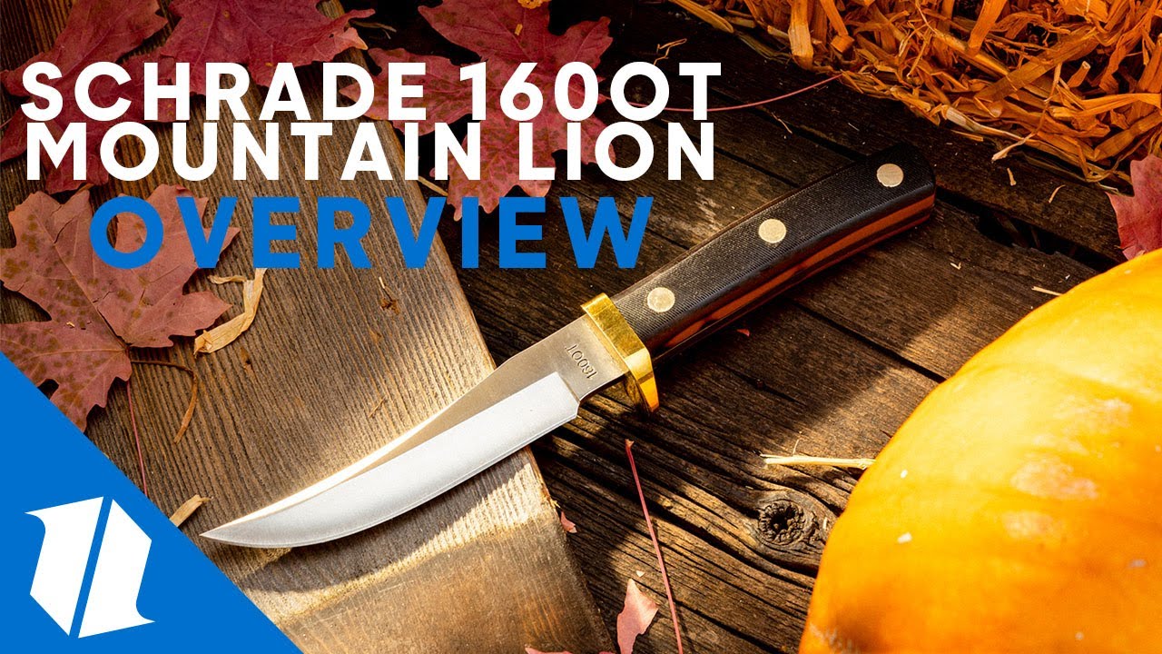  Old Timer Mountain Lion Fixed Blade Knife (5" Satin) 160OT