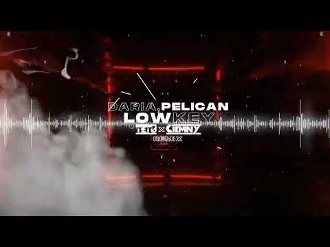 DARIA x PELICAN - LOWKEY (Ciemny x Tetu Remix) 2022