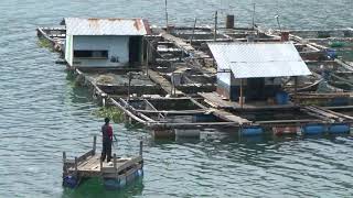 Download lagu 4a Takengon - Sumatra mp3 Download lagu 4a Takengon - Sumatra mp3