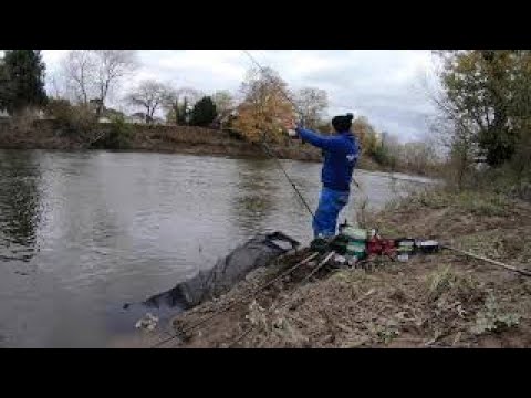 Angling Escapades - River Wye Winter fishing for Barbel & Chub