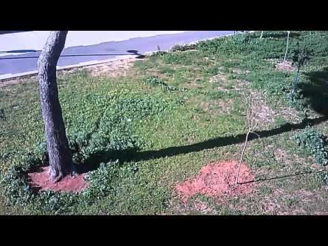 Flying the X Drone Mini 2 0 outside for the first time